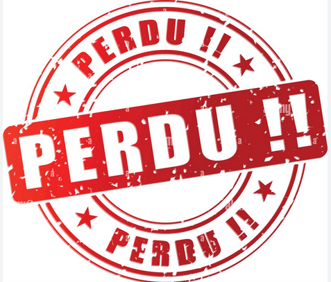 PERDU PERDU